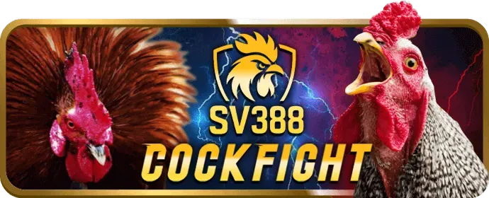 Minh họa quá trình thu thập dữ liệu an toàn tại Wim55 Casino